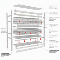Système de cages automatiques pour poules pondeuses en acier galvanisé pour l'élevage avicole