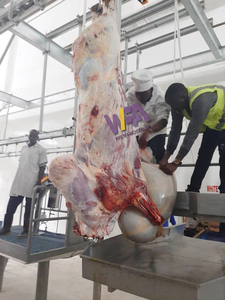 Máquina <span class=keywords><strong>de</strong></span> matanza <span class=keywords><strong>de</strong></span> vacas <span class=keywords><strong>de</strong></span> fácil instalación para procesamiento <span class=keywords><strong>de</strong></span> carne Halal, Riel <span class=keywords><strong>de</strong></span> transporte <span class=keywords><strong>de</strong></span> planta <span class=keywords><strong>de</strong></span> matadero <span class=keywords><strong>de</strong></span> ganado, <span class=keywords><strong>precio</strong></span> - Product Image 2