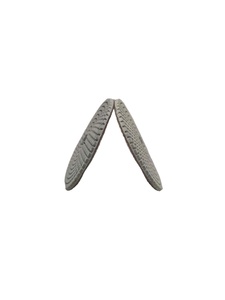 Discos de pulido de piedra de diamante, almohadillas de pulido flexibles <span class=keywords><strong>en</strong></span> seco y húmedo, blanco, gris, 125mm, 5 pulgadas, 7 Uds. - Product Image 5
