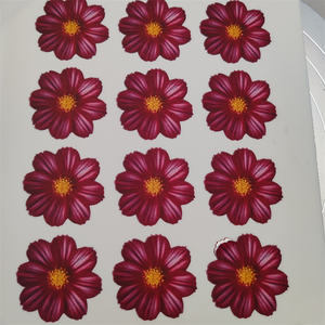 Décorations de gâteaux comestibles avec logo privé FDA, décorations de boissons, feuille d'autocollants <span class=keywords><strong>en</strong></span> sucre personnalisée pour le <span class=keywords><strong>dessin</strong></span> sur gâteau - Product Image 4