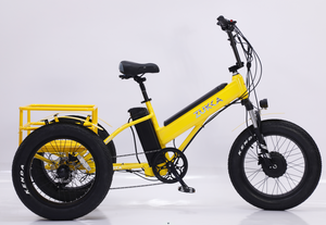 Triciclo Plegable Ztr Reverse Drift Scooter 2021 a Precio Económico de Fábrica - Product Image 2