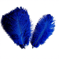 Plumes d'autruche grandes blanches, roses, rouges, noires pour décoration, artisanat DIY, 50-55CM, écologiques, faites à la main, Art Déco, décoration intérieure, fête