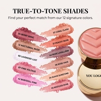 Palette de fard à joues en poudre gaufrée couleur unique personnalisée de haute qualité, pigment minéral longue tenue, fini scintillant et mat, Maquillage Luxe