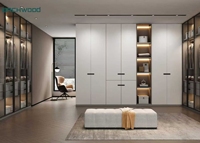 Armoire encastrée moderne blanche et minimaliste avec rangement en verre et éclairage LED pour salon ou salle à manger de luxe dressing