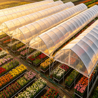 Serre tunnel à simple travée en acier galvanisé à faible coût avec film PE pour l'agriculture