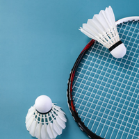Volant de badminton OEM hybride sport T3 en plumes d'oie, léger, haute élasticité, double couche, base en liège, vente en gros d'usine