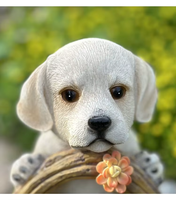 Décoration de jardin extérieure en résine réaliste en forme de chien à énergie solaire, avec succulentes, petite veilleuse, artisanat en résine