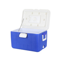 Boîte isotherme commerciale de gros pour livraison de repas, grande capacité, options EPS/PU, pour cantine scolaire et livraison nocturne