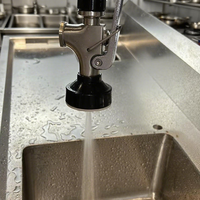 Robinet de cuisine moderne en laiton chromé, 2 trous, à poser sur le comptoir, avec douchette extractible, pour hôtels et restaurants, mitigeur