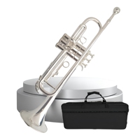 Factory-direct Supply B-flat Clarinetsilver-plated Western Woodwind Instrument for Beginners Students Exam