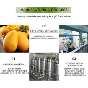 Hersteller <span class=keywords><strong>Mango</strong></span>-Duftöl für die Kerzen herstellung Bulk Fragrance <span class=keywords><strong>Mango</strong></span> <span class=keywords><strong>Oil</strong></span> - Product Image 5