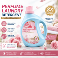 Lessive liquide OEM/ODM personnalisée, écologique, longue durée, élimination efficace des taches, prix usine et marque privée
