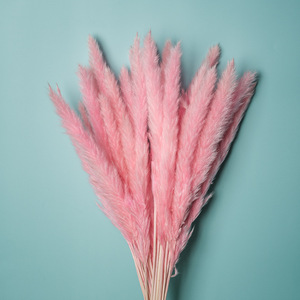 Décoration murale de mariage, fausse Nature, petits Bouquets de pampa séchés, roses et blancs, fleur artificielle de pampa, herbe - Product Image 4