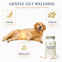 Comprimés de Pueraria Purslane pour la santé digestive des chiens, formule à base de plantes pour le bien-être intestinal, 100 unités, soin quotidien, naturel, OEM