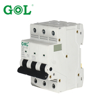 Disjoncteur miniature MCB 1P 2P 2 pôles 6A 100A 10kA avec protection Li certifié IEC CE CCC 110-220V