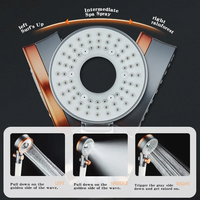 Pommeau de Douche Haute Pression Double Face Réglable avec Filtre, Douchette Multifonctionnelle pour Salle de Bain