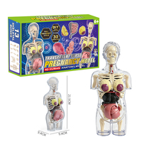 Modelo Anatómico de Embarazo 4D, Kit Transparente de la Estructura del Cuerpo Humano, Modelo de Ciencia para Armar, Juguete Educativo para Niños