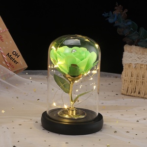 Cadeau de la Saint-Valentin, anniversaire, petite amie, romantique, fleurs éternelles en plastique, couverture en verre artificiel, veilleuse décorative - Product Image 3