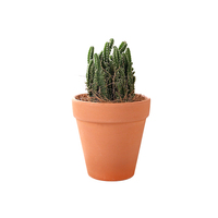 Pots en terre cuite classiques pour bonsaï, pots à fleurs en céramique multi-tailles, pots en argile pour plantes succulentes et cactus, pour la décoration de jardin