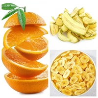 Elektrische automatische plantain-bananen snijmachine, fruit snijder, apparatuur voor het maken van plantain chips voor snackfabrieken