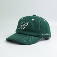 Gorra de Béisbol Curva de 6 Paneles Personalizada OEM, Bordada con Etiqueta de Lana, Diseño de Letras, Patrón de Tela de Lana