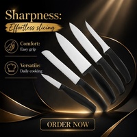 Ensemble de 5 couteaux de cuisine en acier inoxydable 3CR13 avec manche en TPR, couteau de chef, couteau à pain, couteau à steak pour un usage quotidien professionnel