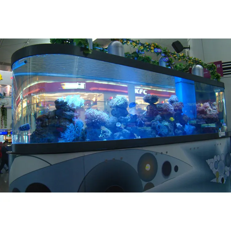 Alle Soorten Aangepaste Wit Glas Aquarium 5 In 1 Glazen Aquarium