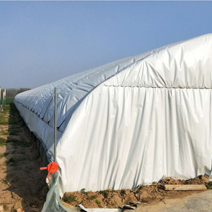 3mil 4mil 5mil 6mil 8mil 10mil màu đen trắng đục Poly nhựa phim nông nghiệp mulching/Silage tấm bunker bìa cắt - Product Image 6