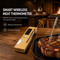 Termometer BBQ Nirkabel Pintar Kontrol Suhu Presisi 0.5C LCD Baja Tahan Karat Food Grade IP68 OEM ODM Kontrol Aplikasi Pintar