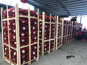 Approvisionnement d'usine de châtaignes chinoises fraîches pelées et rôties de marque Sinofarm en provenance de Chine <span class=keywords><strong>au</strong></span> <span class=keywords><strong>prix</strong></span> de gros pour importation - Product Image 5