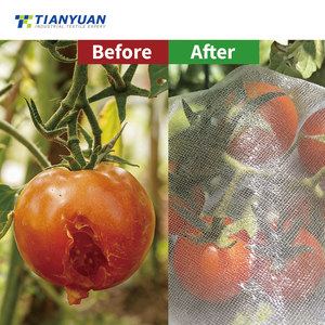 망사 곤충 방지망, 진딧물 방지망, 40메쉬 과일파리, 채소밭, 식물 보호망, 1롤당 40메쉬 - Product Image 3