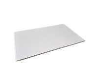 Paneles de Pared de PVC Ignífugos e Impermeables, Decoración Moderna para Techos Interiores de Restaurantes, Baños y Salas de Estar