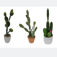 Cactus artificiel en plastique en pot, Bonsaï, plantes tropicales du désert pour la maison et le salon, vert, taille 17-18 pouces