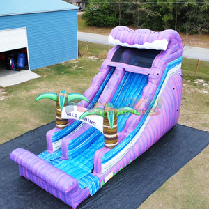 Summer backyard party jumpers tobogan acuatico hinchable <b>inflatable</b> tropical slide for swimming pool - Product Image 3