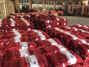Sinofarm Châtaignes chinoises fraîches <span class=keywords><strong>de</strong></span> qualité pelées et ensachées Approvisionnement <span class=keywords><strong>d</strong></span>'usine en provenance <span class=keywords><strong>de</strong></span> Chine <span class=keywords><strong>Prix</strong></span> <span class=keywords><strong>de</strong></span> gros pour l'importation <span class=keywords><strong>de</strong></span> produits alimentaires - Product Image 5