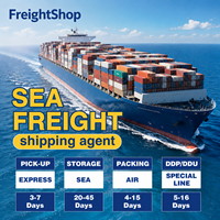 Günstiger FBA Seefracht FCL Versand New York Savannah Houston DDP Schienen-LKW-Lieferung China nach USA UK Frankreich Kanada Australien