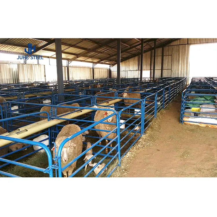 Prefabricated Poultry Farm Construction Plan Chicken Cages Steel Metal Sheds Cow Pig Steel Structure Houses