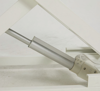 Table de toilettage pour animaux électrique et automatique avec cadre en acier et plateau en plastique réglable, conception hydraulique pour les animaleries et les salons
