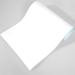 Membrane de transfert IKEME PVDF NC en nitrocellulose 0,22 µm 0,45 µm pour transfert de protéines de poids moléculaire élevé en <span class=keywords><strong>laboratoire</strong></span> (Western Blot) - Product Image 5