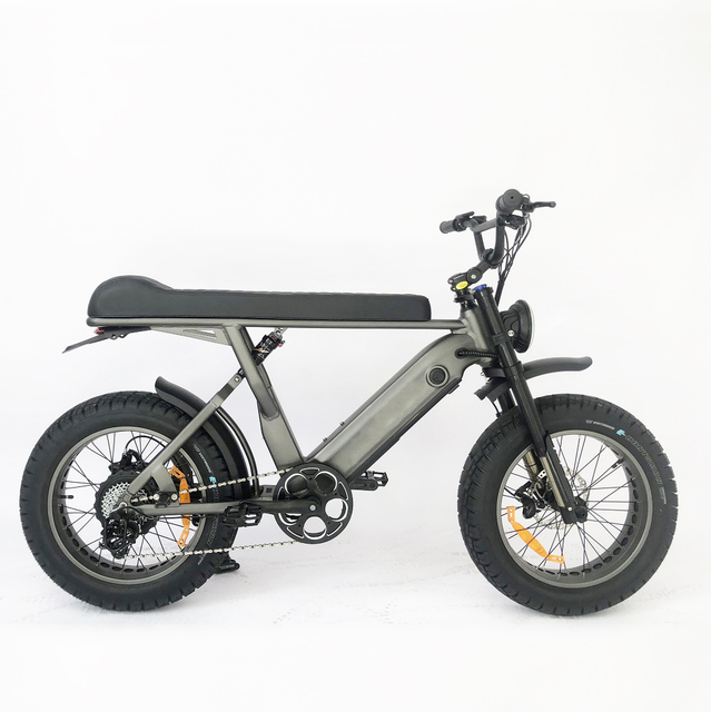 New Design 20-Inch Retro Electric Bike Full Suspension 1000W Motor 48V Integrated Lithium Fat Tire Ebike Retro E Cycle Style