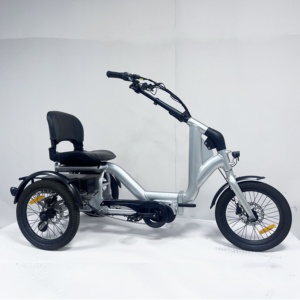 Tricycle électrique orthopédique d'usine chinoise, mini tricycle électrique de route de 18 <span class=keywords><strong>pouces</strong></span>, vélo électrique urbain à 3 roues avec batterie de 20 Ah - Product Image 5