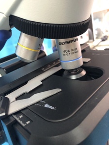 Microscopios Binoculares CX23 Olympus, Microscopios Electrónicos Digitales, Precios de Microscopios Ópticos Biológicos de Laboratorio - Product Image 6