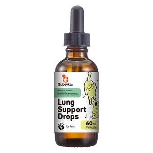 Oem/Odm Fabriek Long & Respiratoire Voeding Vloeibare Druppels Supplement Voor Honden En Katten Ondersteunen Genezende Hoest - Product Image 2