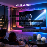 Contrôleur de bande LED Tuya Zigbee RGBCW 12V 24V RGB CCT, variateur de lumière intelligent, compatible avec Alexa, Google, Apple Home, produits pour la maison intelligente