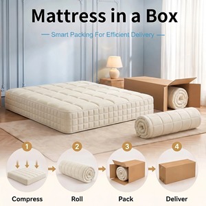 Roll Up Compressed <b>Memory</b> <b>Foam</b> Mattress Single Twin Double Queen Size Medium Firm Support Modern Home Bed - Product Image 1