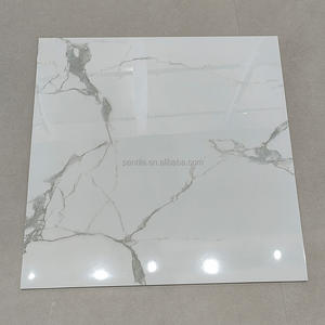 Carrelages en <span class=keywords><strong>grès</strong></span> <span class=keywords><strong>cérame</strong></span> effet béton <span class=keywords><strong>Carrelage</strong></span> en porcelaine à absorption d'eau <span class=keywords><strong>Carrelage</strong></span> en <span class=keywords><strong>grès</strong></span> <span class=keywords><strong>cérame</strong></span> effet marbre Foshan 60x60 - Product Image 1