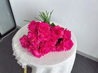 Roses décoratives pour la maison, roses artificielles réalistes au toucher, longue durée, pour la Saint-Valentin, pour la décoration de la maison, pour les mariages