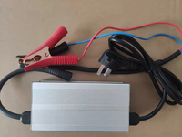 Chargeur intelligent rapide 3.65V 10A 20A pour cellule de batterie LiFePO4 1S 3.2V 3.3V LFP pour stockage d'énergie solaire et camping-car