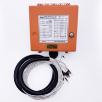 Télécommande universelle SAGA Radio Palfinger Crane F21-E1B pour hydraulique
