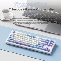 Three Mode 87 Keys RGB Backlit Mechanical Gaming Keyboard USB-C Programmable Adjustable Tilt Customized Switch PBT Keycaps